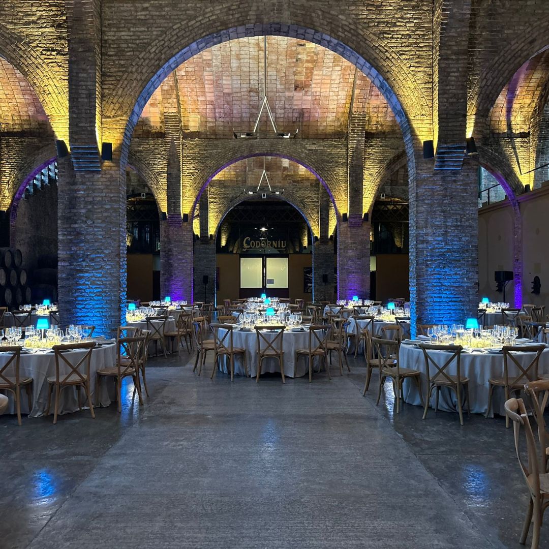 Sala Caves Codorniu